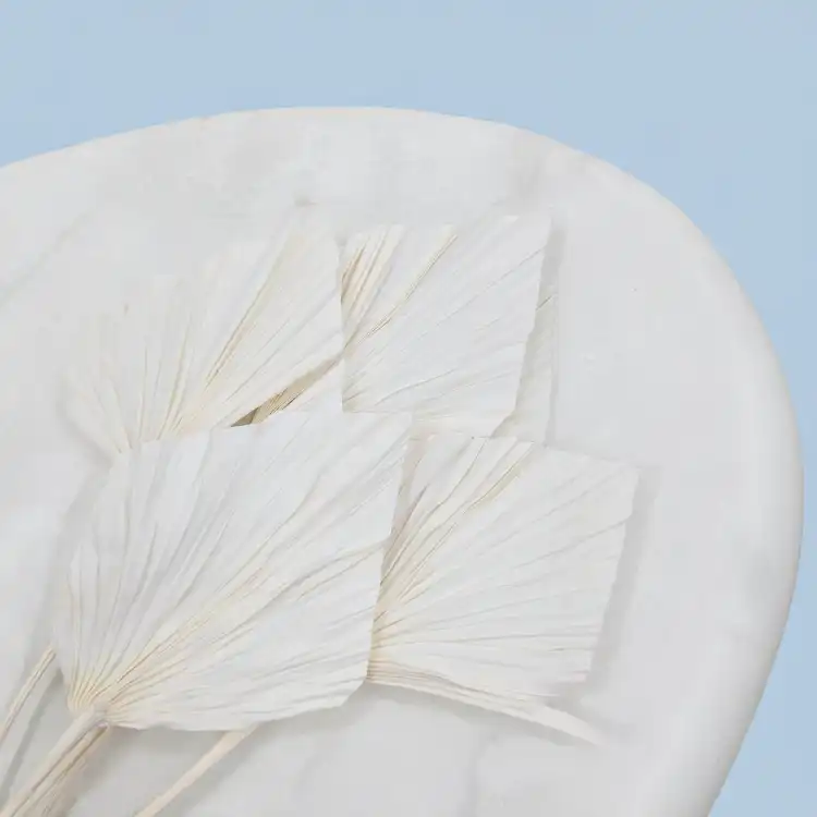 Palm spear Bielony 2.png