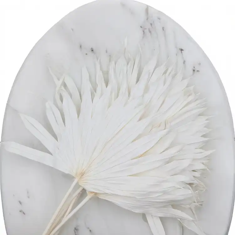 Palm sun bielony 2.png