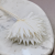 Palm sun bielony 3.png