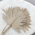 Palm sun naturalny 1.png