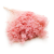 Broom Bloom Perłowy różowy.png