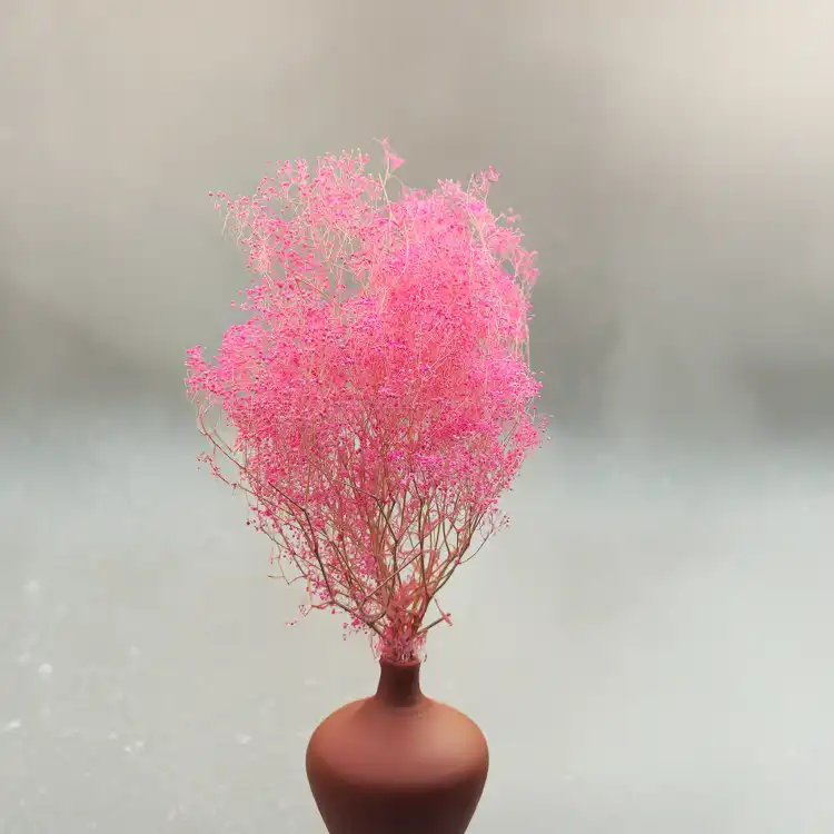 Gipsówka mini stabilizowana różowa.png