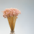 Hill Flower Lila 1.png