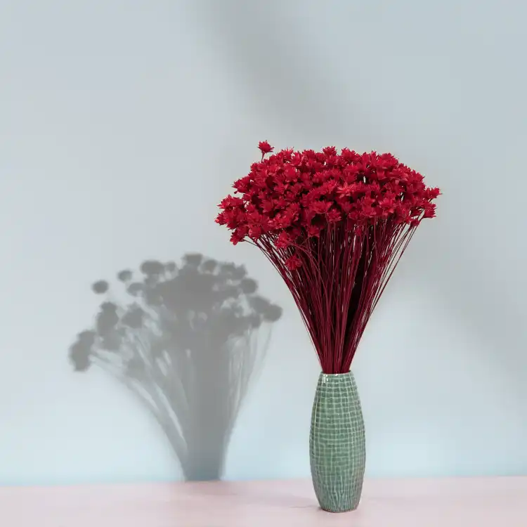 Hill Flower czerwony 3.png