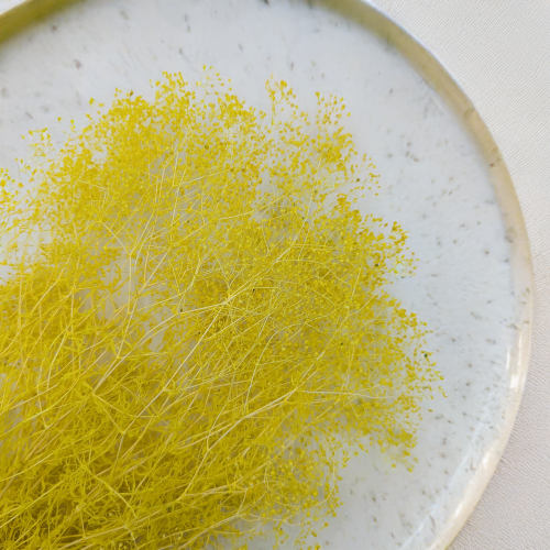 Gipsówka stabilizowana mini Żółta 2.png