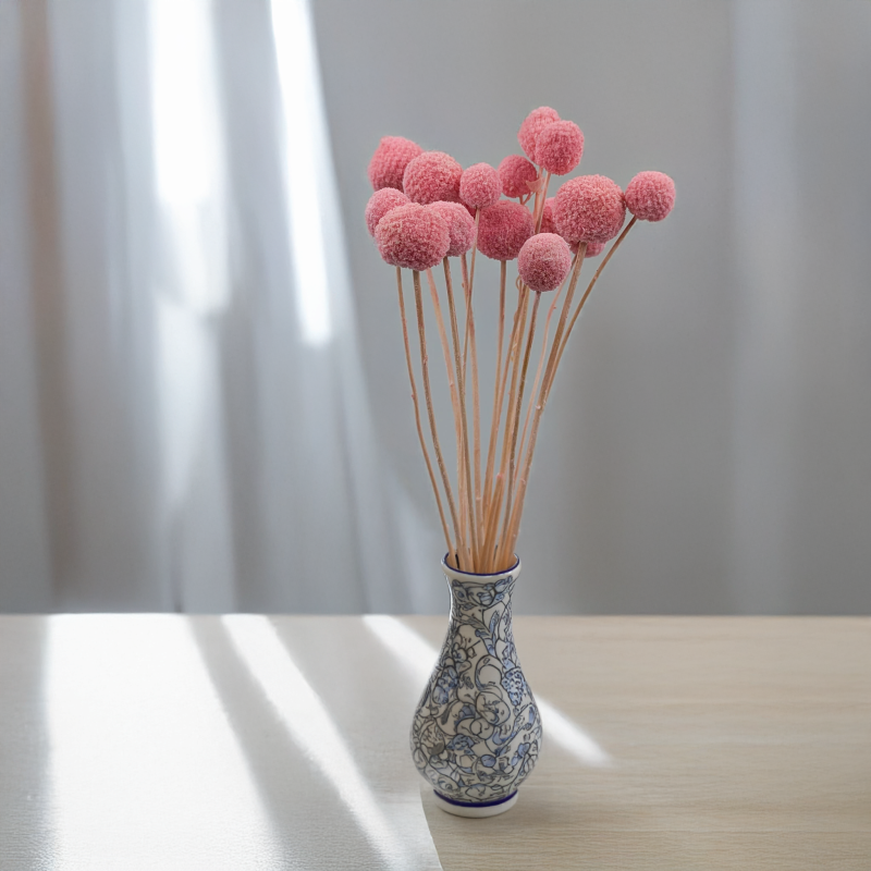 Craspedia różowa IT 5.png