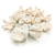 Wild Orange Bielone 10pcs 1.png