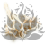 Phalaris Extra bleached 1.png