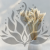 Phalaris Extra bleached 4.png