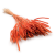 Tymotka Phleum Pomarańczowa.png