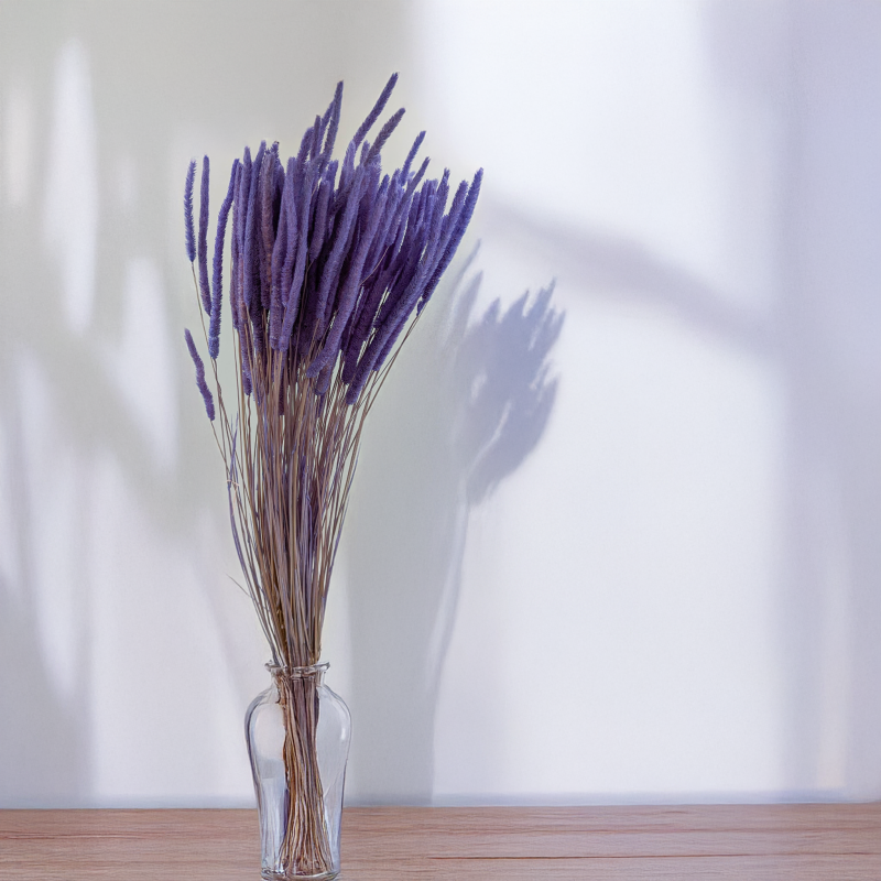 Tymotka - lawendowa 4.png