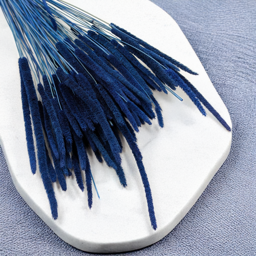 Tymotka - niebieska 2.png