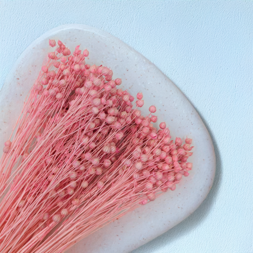 Len jasny róż 2.png