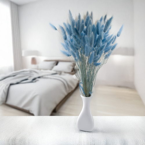 Lagurus błękitny 3.png