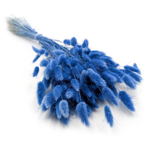 Lagurus Marine Blue - Morski.png