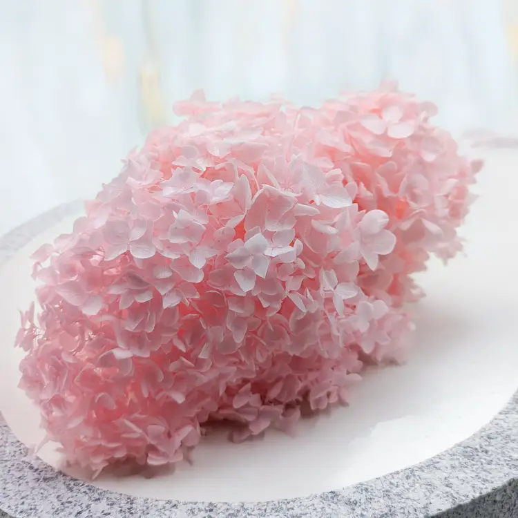 Hortensja stabilizowana Cabeza różowa 4.png