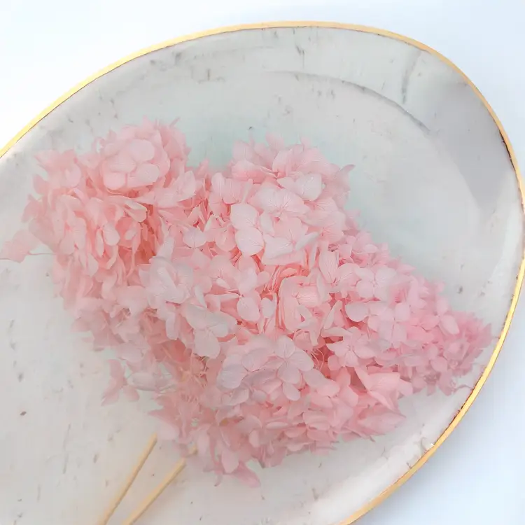 Hortensja stabilizowana Cabeza różowa 2.png