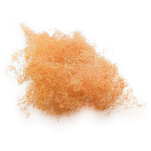 Gips Mini Brzoskwiniowa.png