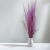 Agrostis Lila 3.png