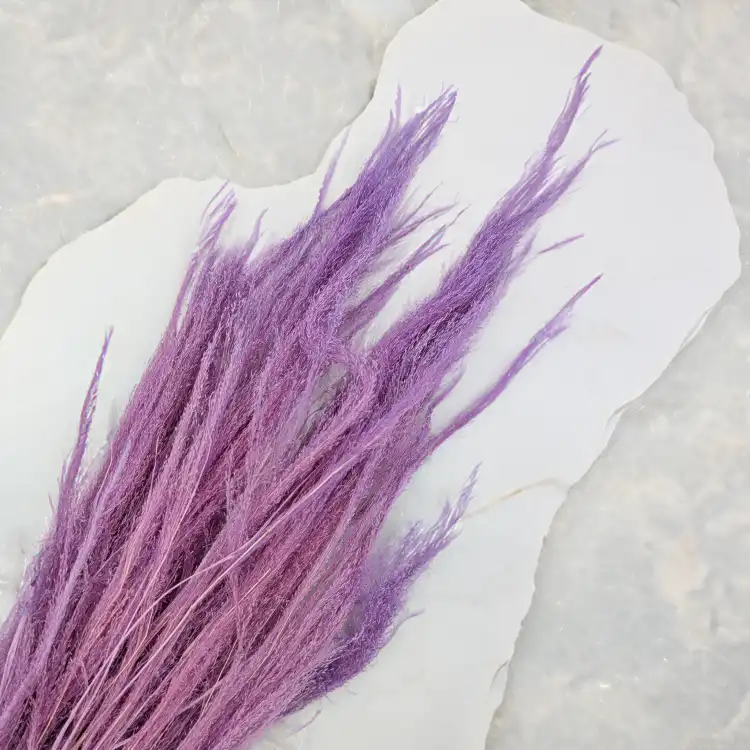 Agrostis Lila 2.png