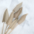 Arrow naturalne 1.png