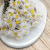 Acroclinium BIALE 50G PLS 2.png