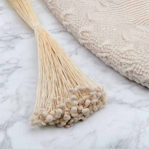 Amarelino bielone 1.png