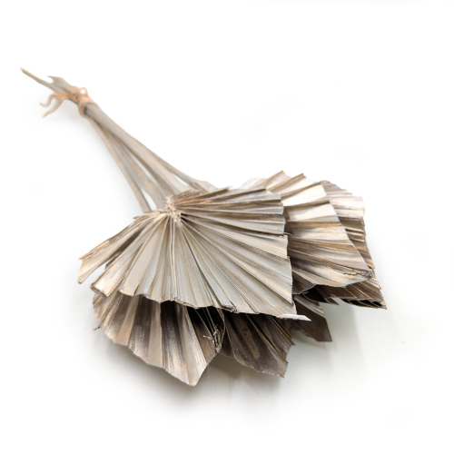 Palm spear gold platinum 6szt.png