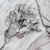Populus silver IT 2.png