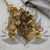Populus gold it 2.png