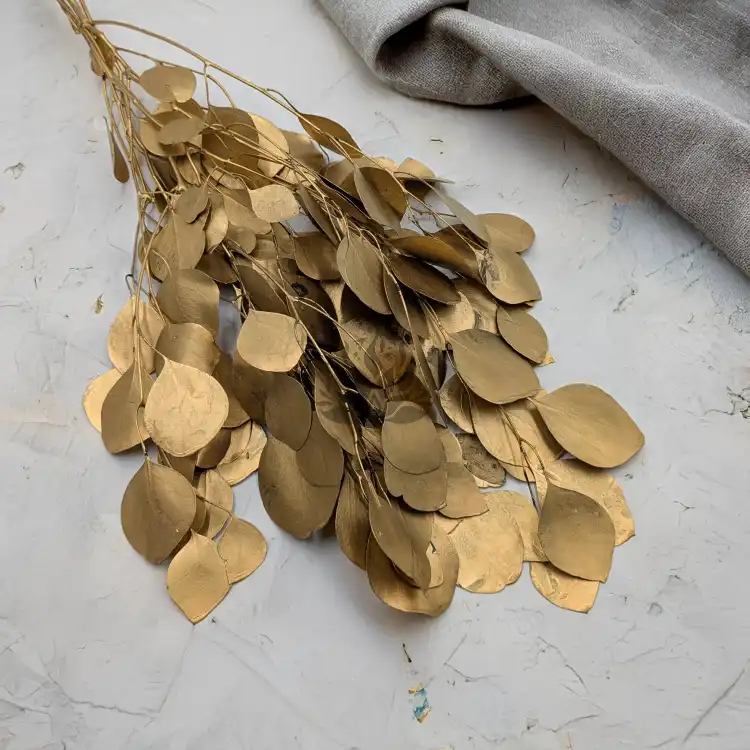 Populus gold it 2.png