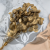 Populus gold it 3.png