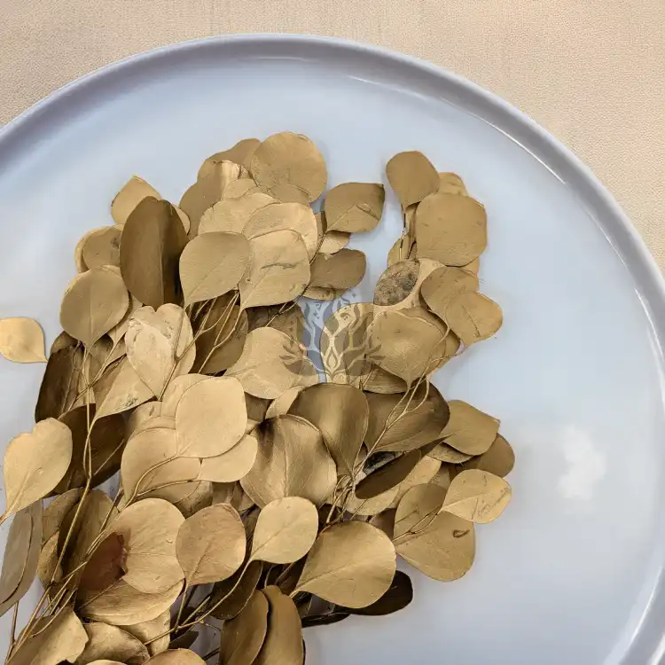 Populus gold it.png
