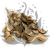 Populus gold it 00.png