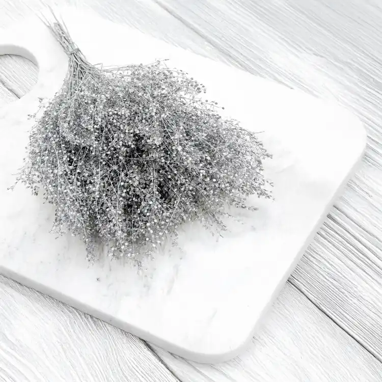 Lepidium Silver srebrne IT 5.png