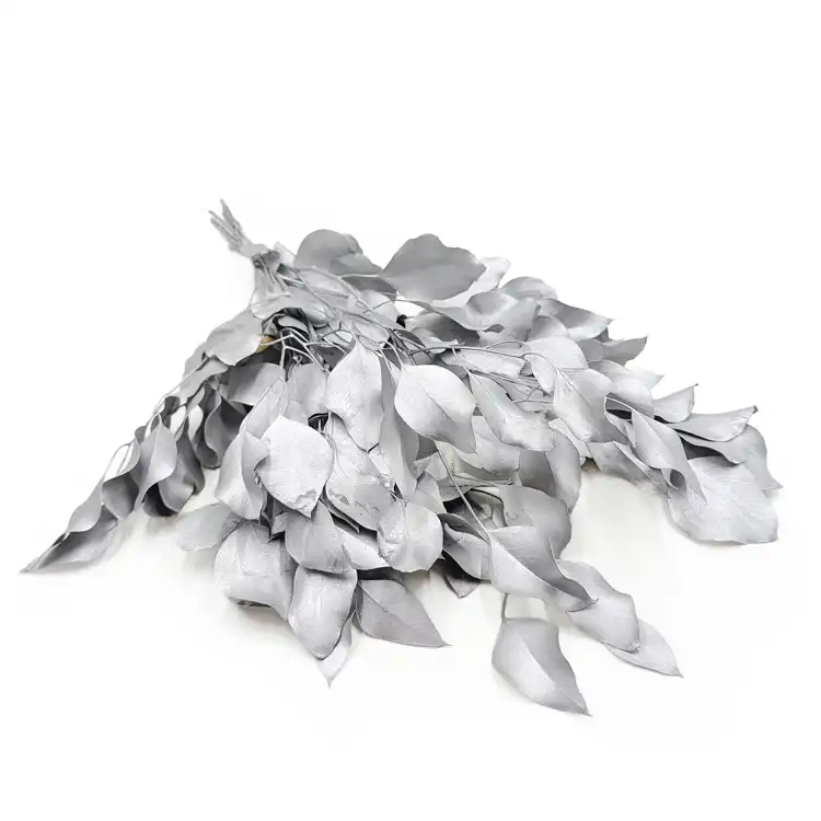 Populus SILVER Srebrny Stabilizowany.png