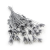 Nigella orientalis Srebrna IT 0.png