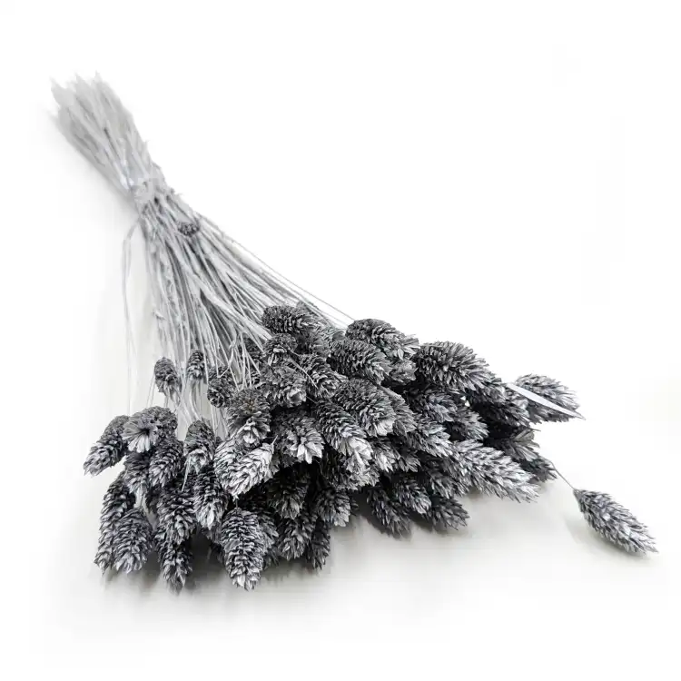 Kanar Silver IT.png