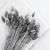 Kanar Silver IT 2.png