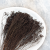 Broom Bloom Chocolate 2.png