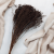 Broom Bloom Chocolate 3.png