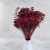 Broom Bloom Bordowy 4.png
