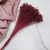 Broom Bloom Bordowy 2.png