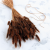 Lagurus Chocolate 1.png
