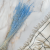 Briza Segromigno Sky Blue 2.png