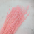 Briza Segromigno Pink 1.png