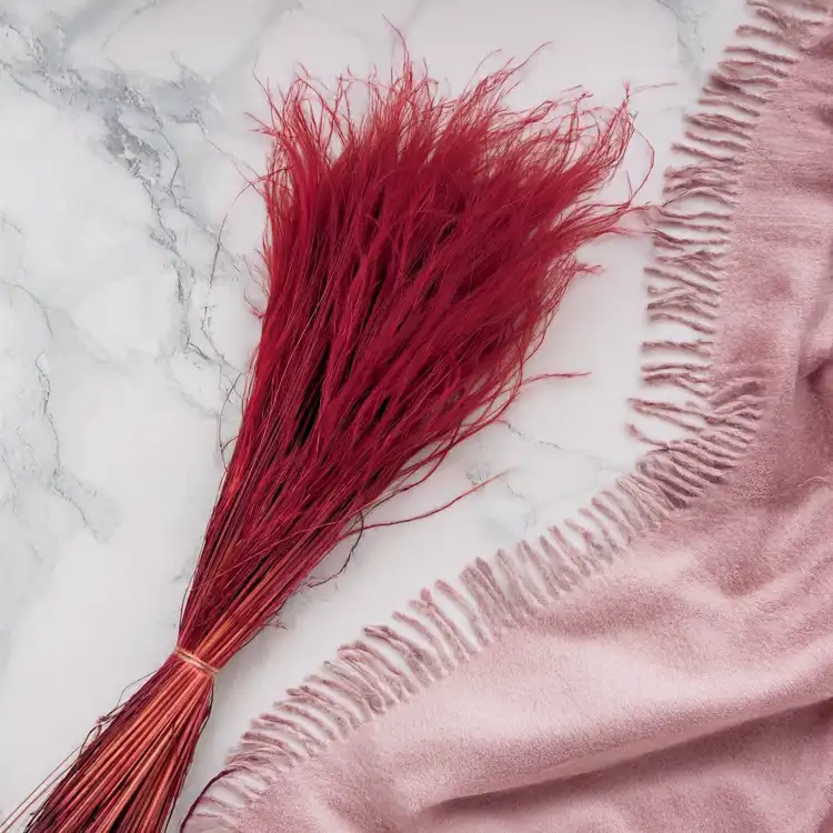 Stipa Bordo 5.png