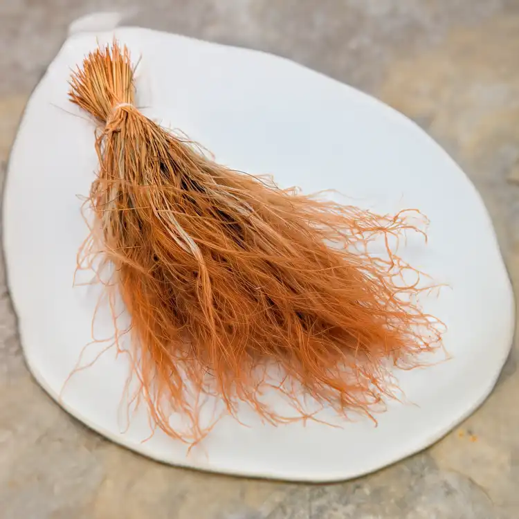 Stipa musztarda.png