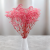 Gips Pink Royal 04 4.png
