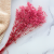 Gips Dark Pink Royal 05 3.png